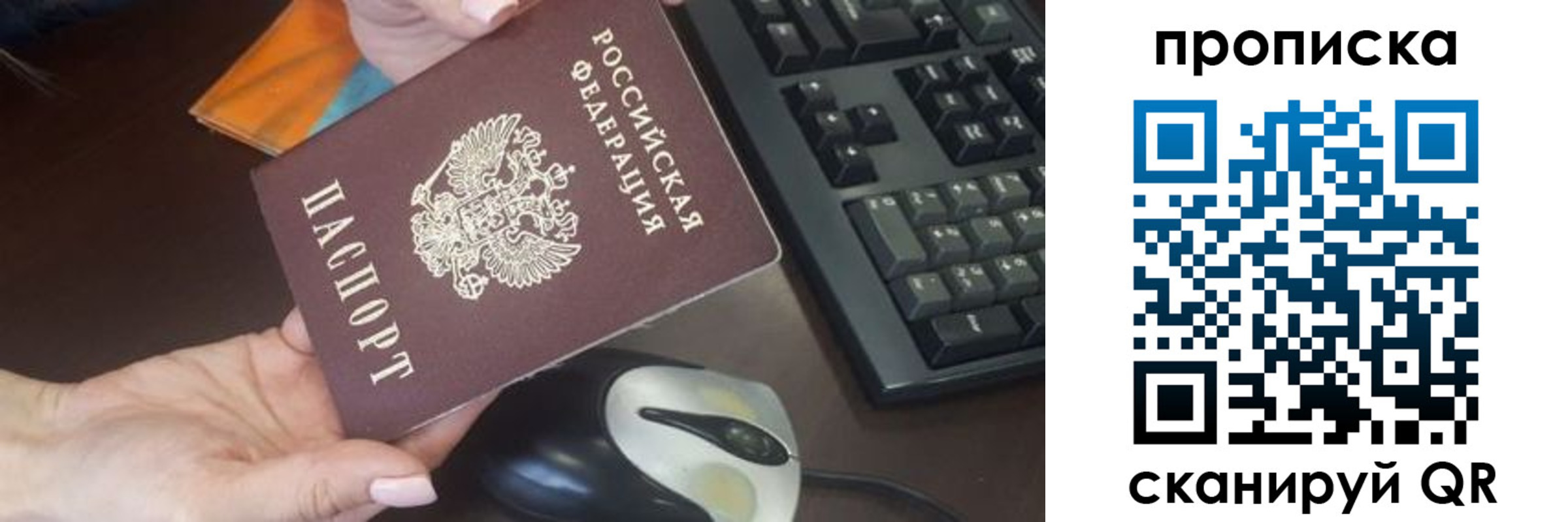 прописка гарантия в Новотроицке